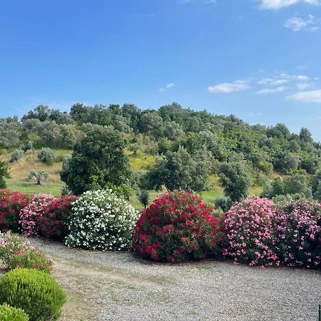 Tenuta Montemassi Podere Montauzzo Eksteriør bilde