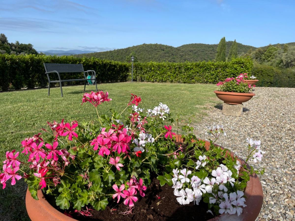Tenuta Montemassi Podere Montauzzo Eksteriør bilde