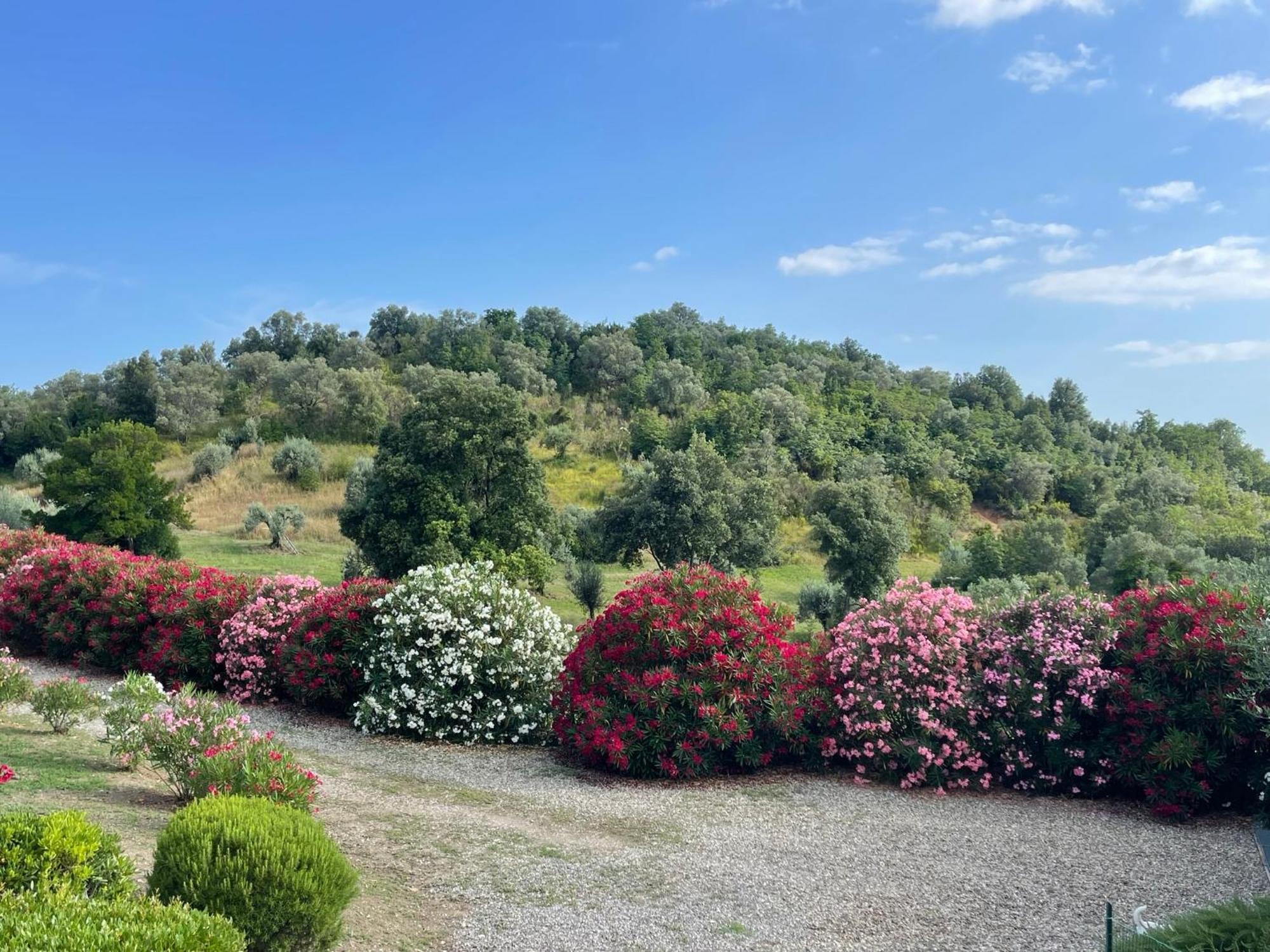 Tenuta Montemassi Podere Montauzzo Eksteriør bilde